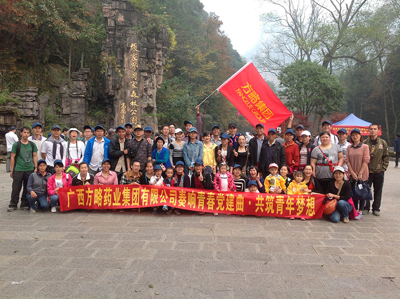 奏響青春黨建曲•共筑青年夢想