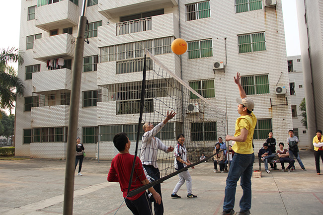 方略集團(tuán)舉辦排球比賽